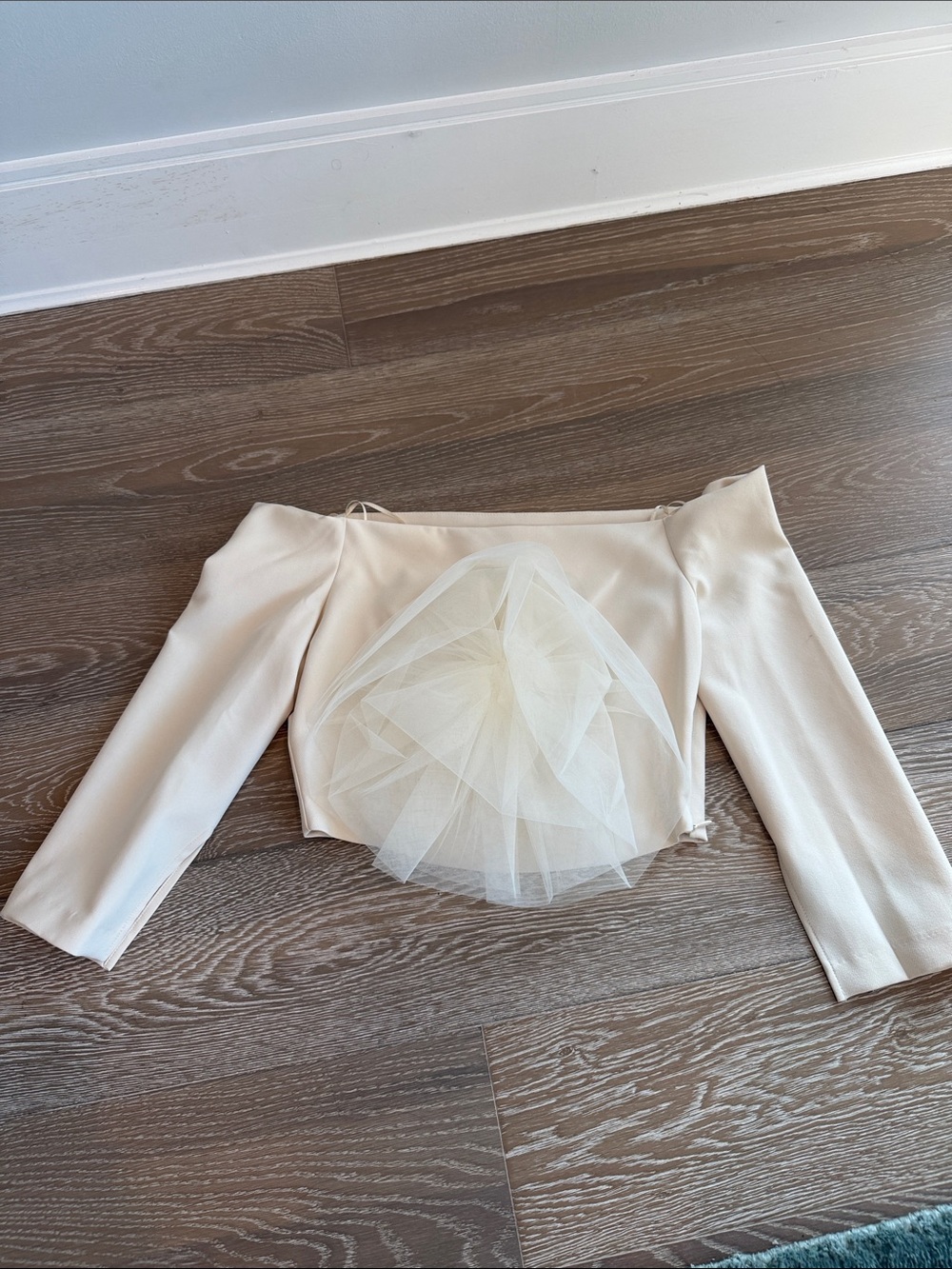 Zara Cream Off-Shoulder Top with Tulle Accent